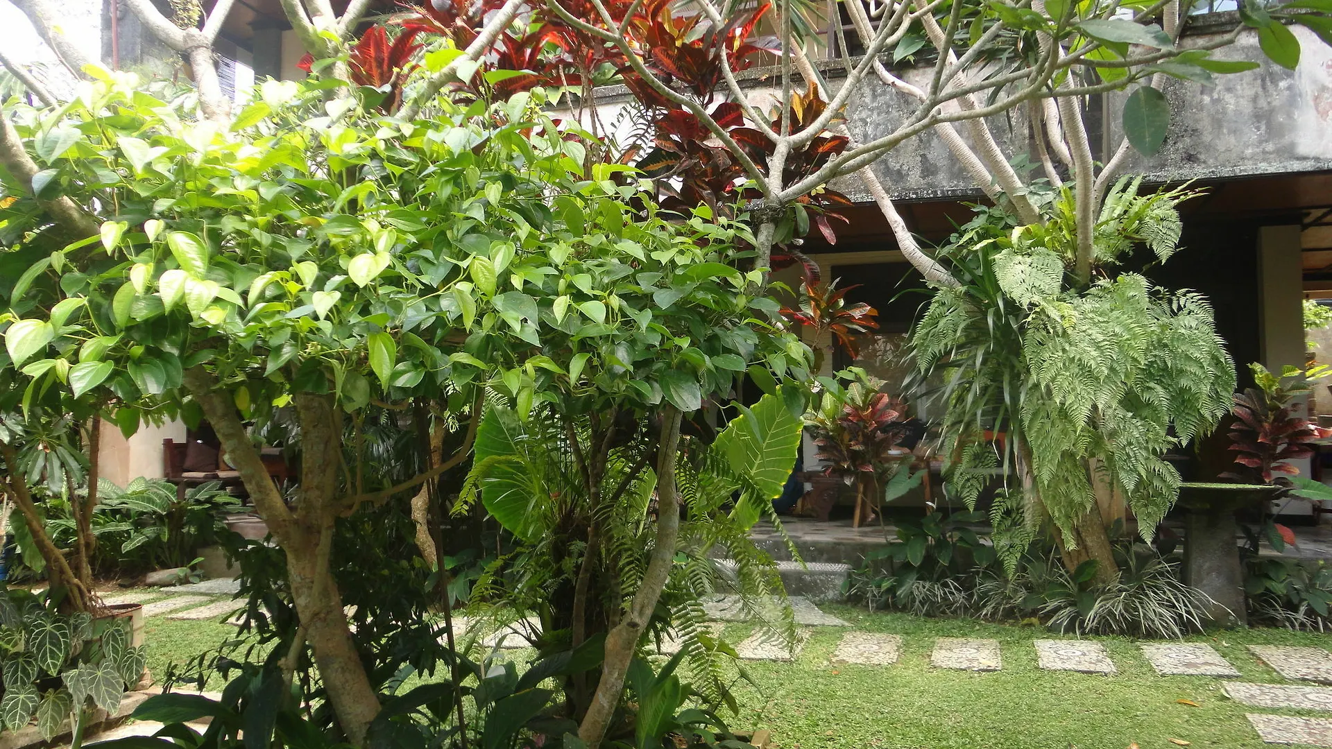 Puri Cantik Bungalow location